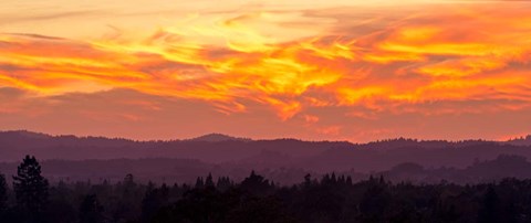 Framed Blazing Sunset Print