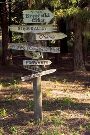 Framed Oh The Places You Will Go Print