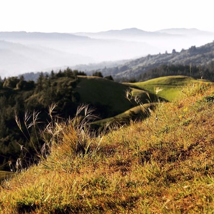 Framed Hilltop Vista Print