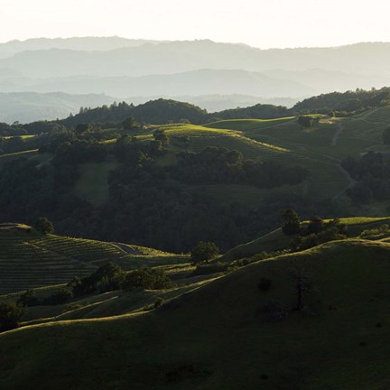 Framed Vineyard Hills Print