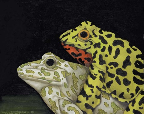 Framed Horny Toads 3 Print
