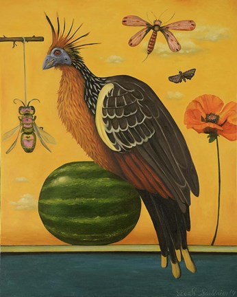 Framed Hoatzin Print