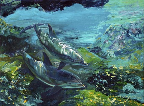 Framed Tranquility Atlantic Bottlenose Dolphins Print