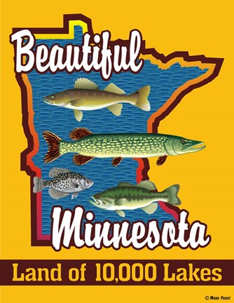 Framed Beautiful Minnesota Print