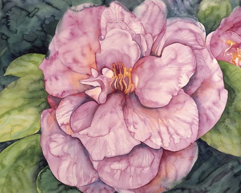 Framed Pink Camilla Print