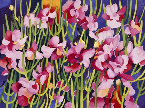 Framed Magic Kingdom 2 Print