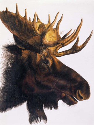 Framed Bullwinkle Print