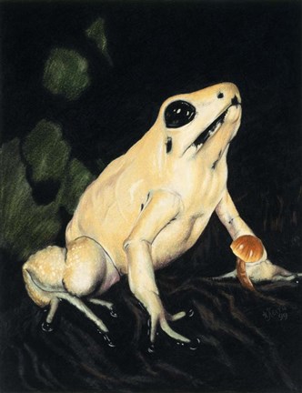 Framed Golden Poison - Dart Print