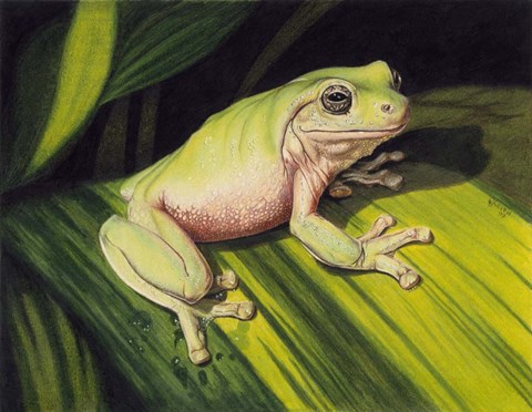 Framed Early Mornin&#39; Dew Print