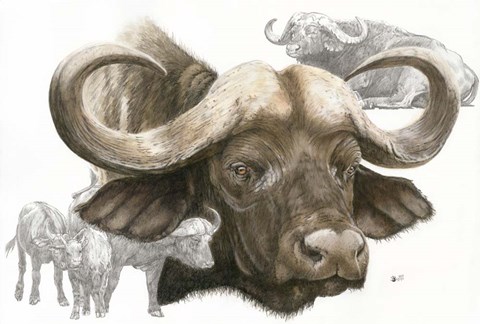 Framed Puissant Print