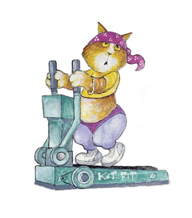 Framed Aerobic Cat Print