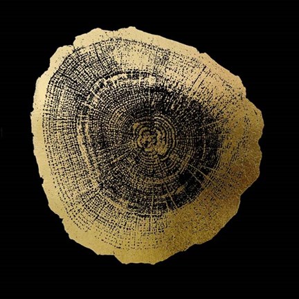 Framed Gold Foil Tree Ring IV on Black Print