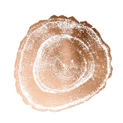 Framed Rose Gold Foil Tree Ring III Print