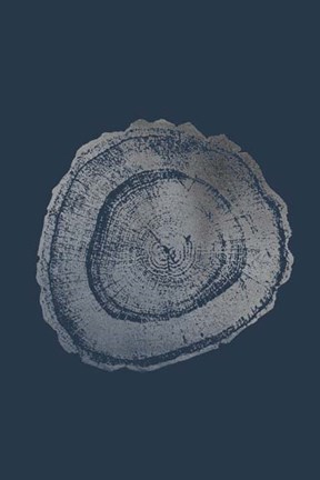 Framed Silver Foil Tree Ring III on Cobalt Print