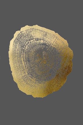 Framed Gold Foil Tree Ring IV on Dark Grey Print