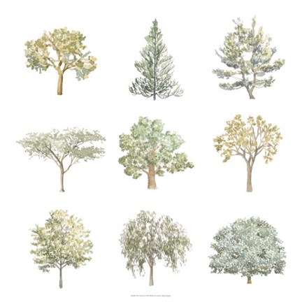 Framed Tree Varieties I Print