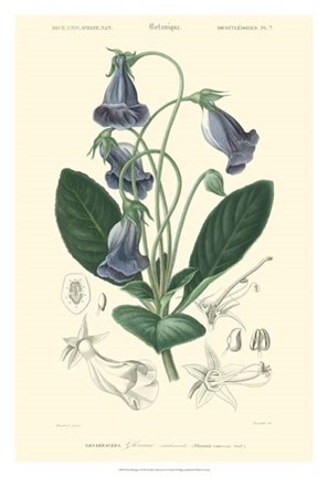 Framed Floral Botanique I Print