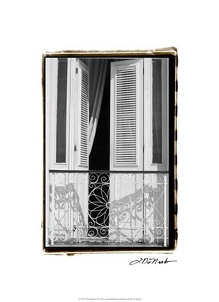 Framed Past Elegance II Print