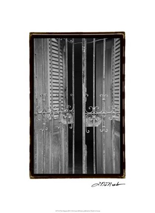 Framed Past Elegance III Print