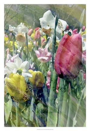 Framed Spring at Giverny III Print