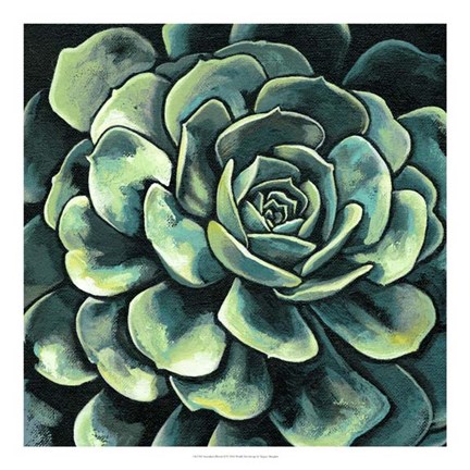 Framed Succulent Bloom II Print