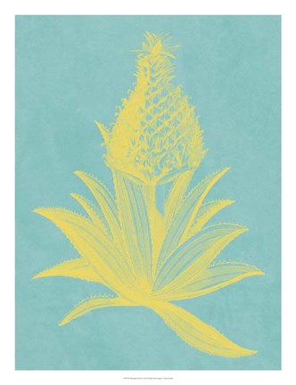 Framed Pineapple Frais I Print