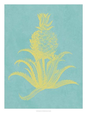 Framed Pineapple Frais II Print