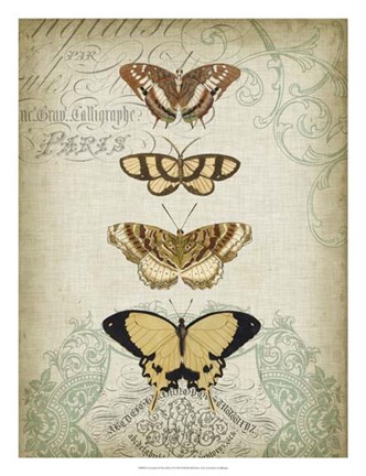 Framed Cartouche &amp; Butterflies II Print