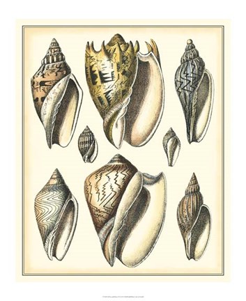 Framed Of Sea and Shore II Print
