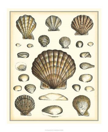Framed Of Sea and Shore III Print