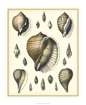 Framed Of Sea and Shore IV Print