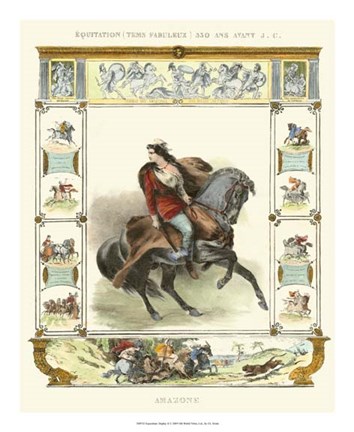 Framed Equestrian Display II Print