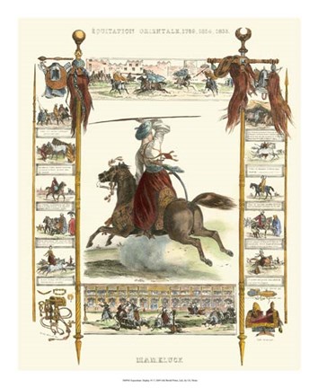 Framed Equestrian Display IV Print