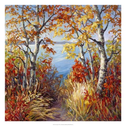 Framed Lake Aspen Print