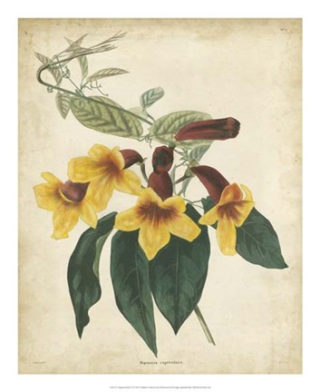 Framed Tropical Floral VI Print