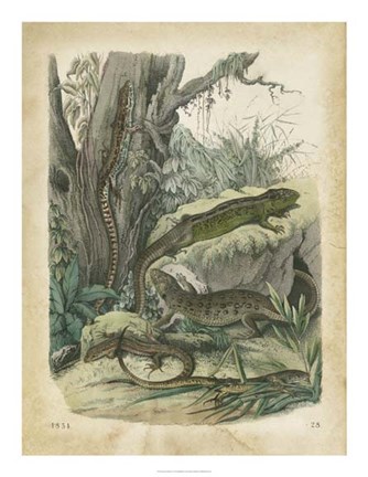 Framed Nature&#39;s Gathering V Print