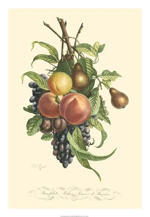 Framed Plentiful Fruits I Print