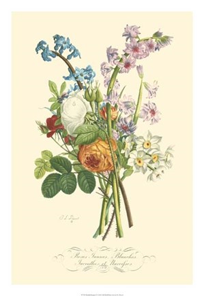 Framed Plentiful Bouquet IV Print