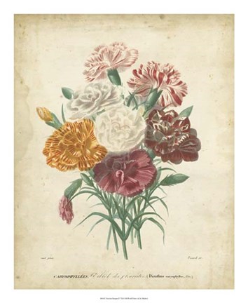 Framed Victorian Bouquet II Print