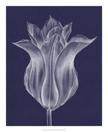 Framed Monochrome Tulip III Print