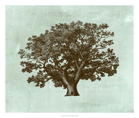 Framed Spa Tree IV Print