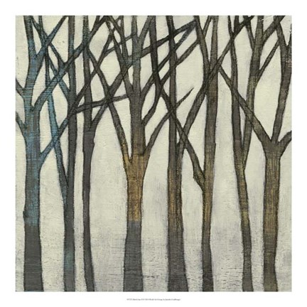 Framed Birch Line II Print