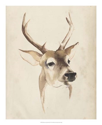Framed Watercolor Animal Study IV Print