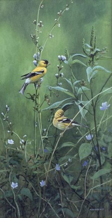 Framed Roadside Bouquet Print