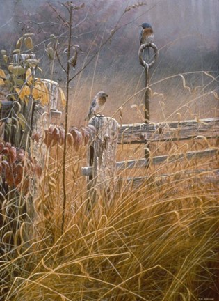 Framed Autumn Mist Print