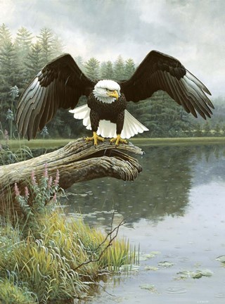 Framed Majestic Showers Print