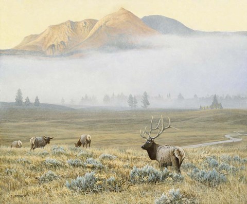 Framed Autumn Elk Print