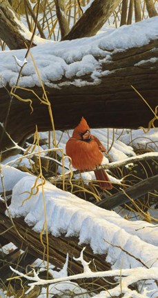 Framed Winter Playground Print