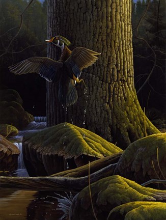 Framed Magical Moment Print