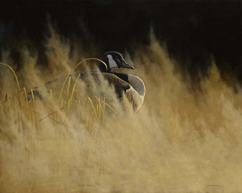 Framed Misty Morning Sentinal Print